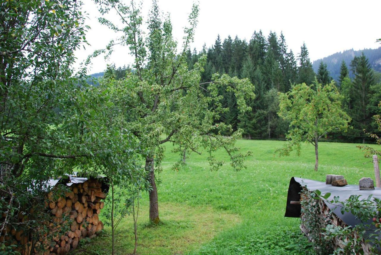 Hofstelle Auer Apartment Gosau Exterior foto